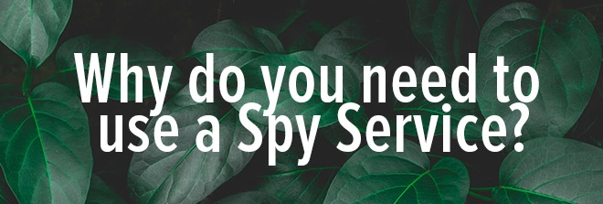 Why do you need to use an Ad Spy Service?