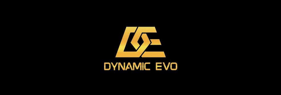 Dynamic Evo Agency Review