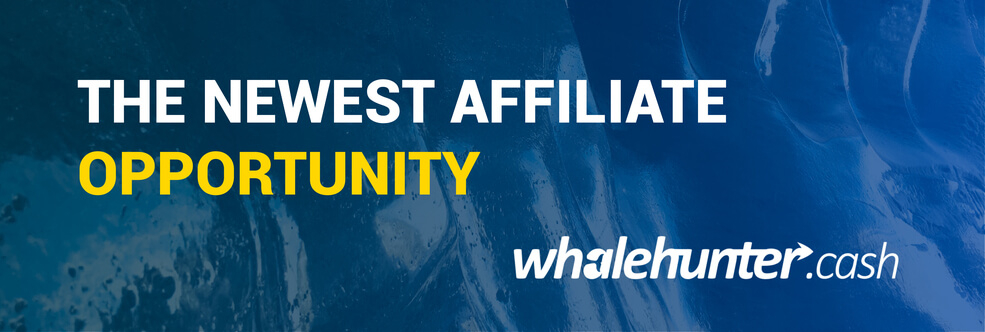 What’s the Newest Affiliate Opportunity in the Cam Business?